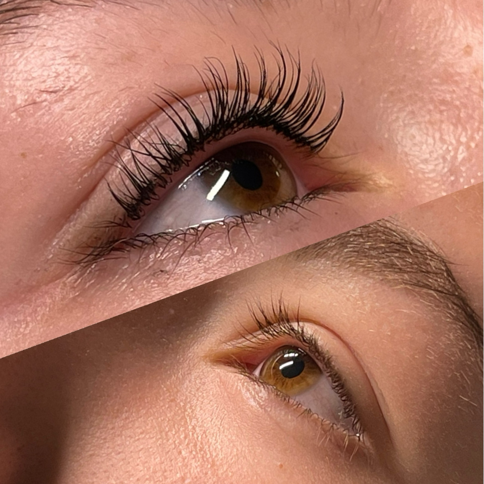 Lash or brow work by Lash Artistry Beauty Studio